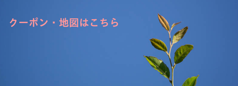 割引クーポン