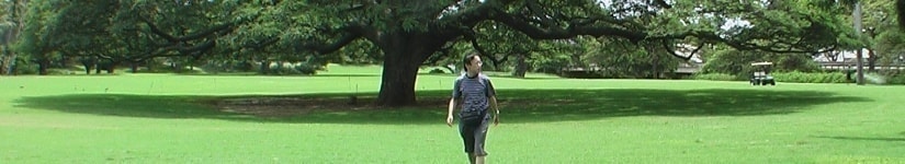 上福岡鍼灸整骨院インフォメーション