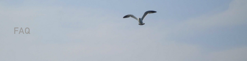 上福岡鍼灸整骨院FAQ