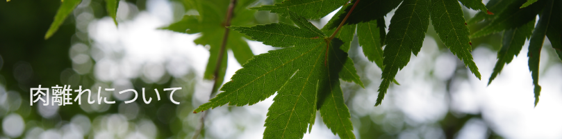 肉離れについて