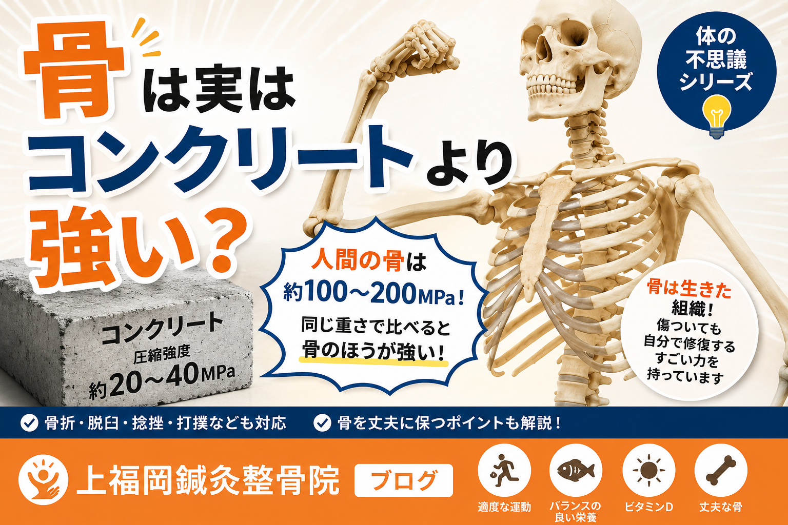 骨はコンクリートより強い